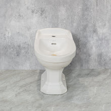 Load image into Gallery viewer, Bidet
